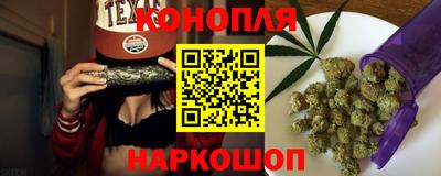 ешки Кингисепп