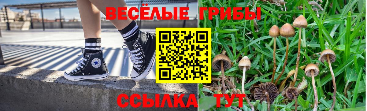 Галлюциногенные грибы Cubensis  Вход с VPN  Галлюциногенные грибы GOLDEN TEACHER  Владивосток 