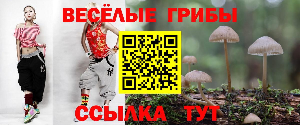 Галлюциногенные грибы Psilocybine cubensis Владивосток